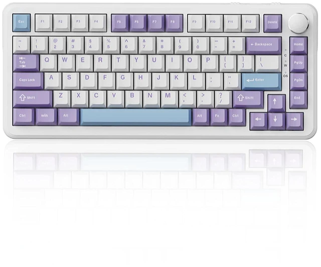 Main image of HE Wired 75% Gaming Keyboard, Hall Effect Magnetic Switch with Rapid Trigger, 8KHz Polling Rate, Gasket Mount, PBT Keycaps, RGB Backlit, Metal Volume Knob for PC/Mac, Purple