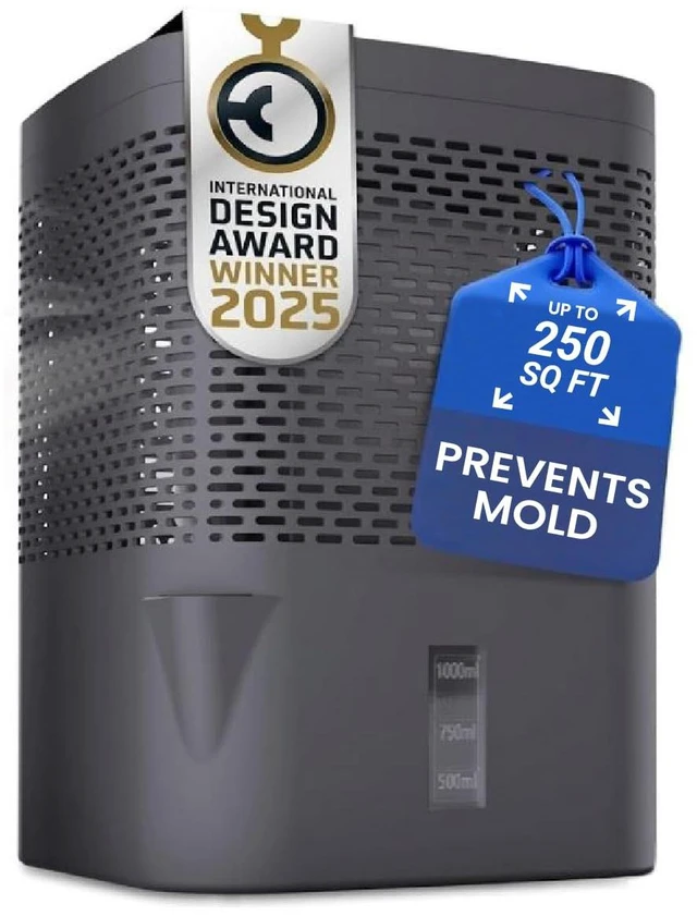 Main image of Non-Electric Dehumidifier Moisture Absorber for Basement, Bathroom, Closet & RV, Includes 24oz Refill Pack with Dehumidifier Granules, Reusable, Gray