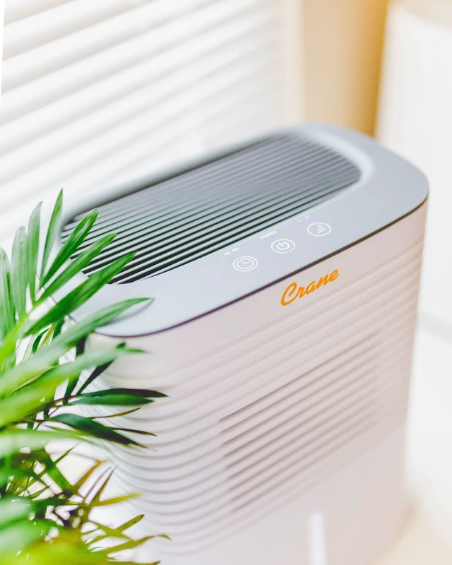 Alt view image 4 of 6 - Compact Dehumidifier for 300 Sq Ft Rooms, 0.5 Gallon Tank, For Basements, Bedrooms, Offices, Portable Dehumidifier, Auto Shut-Off, Whisper Quiet