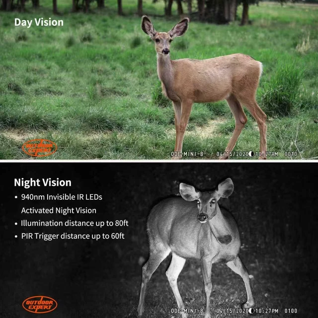 Alt view image 6 of 7 - OUTDOOR EXPERT Mini Trail Camera, Night Vision, Motion Activated, Grey | Mini game camera with no glow night vision, motion activation, IP66 waterproof housing, 32GB SD card support, and no WiFi.