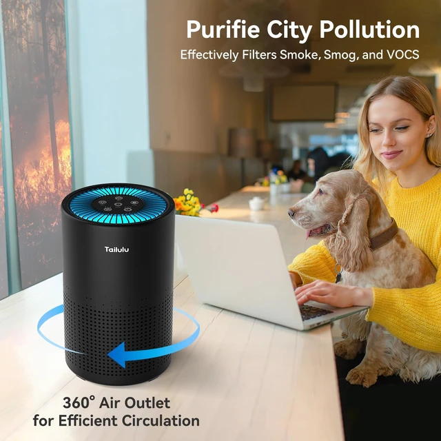 Alt view image 7 of 7 - Air Purifiers for Bedroom Home, Tailulu H14 True HEPA Air Purifier Filter, Quiet Air Cleaner With 12dB Sleep Mode Night Light Speed Control Timer, Portable Small Air Purifier For Allergies Pets, AP052