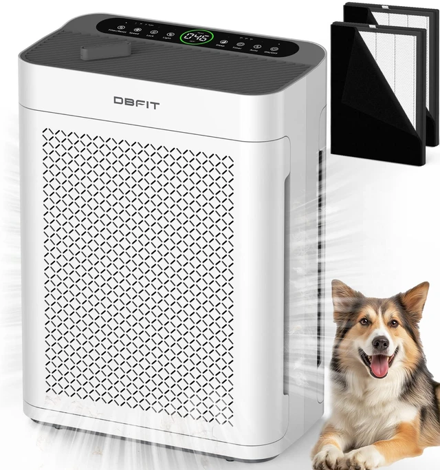Main image of Air Purifiers for Home Large Room up to 3000sq.ft, DBFIT HEPA Double-Sided Air Purifier with Washable Filter, PM 2.5 Display Air Quality Sensor, Air Cleaner for Bedroom, Dorm Room, Pets, Office, AP300