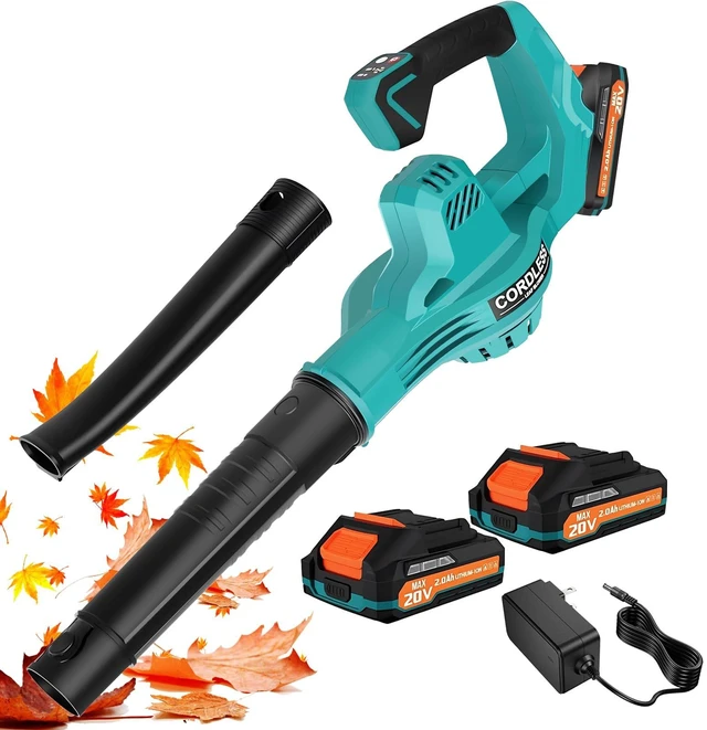 Main image of RAXONE Leaf Blower Cordless, 20V 160 MPH Electric Leaf Blower | 2-Speed Handheld Blower/Grass Blower with 2.0Ah Battery & Charge, Lightweight, Ideal for Leaves, Dust & Snow on Yard/Patio