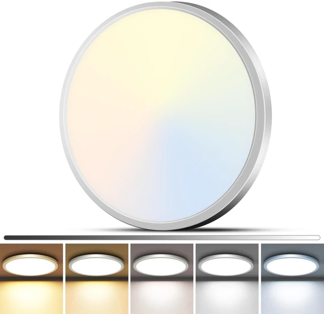 Main image of zemty 1Pack LED Flush Mount Ceiling Light, 12Inch 24W Dimmable Ceiling Lights Fixture, 5 Color Temperatures (3000K-6500K) Brushed Nickel Round Ceiling Lamp for Bedroom, Kitchen, Hallway,Bathroom