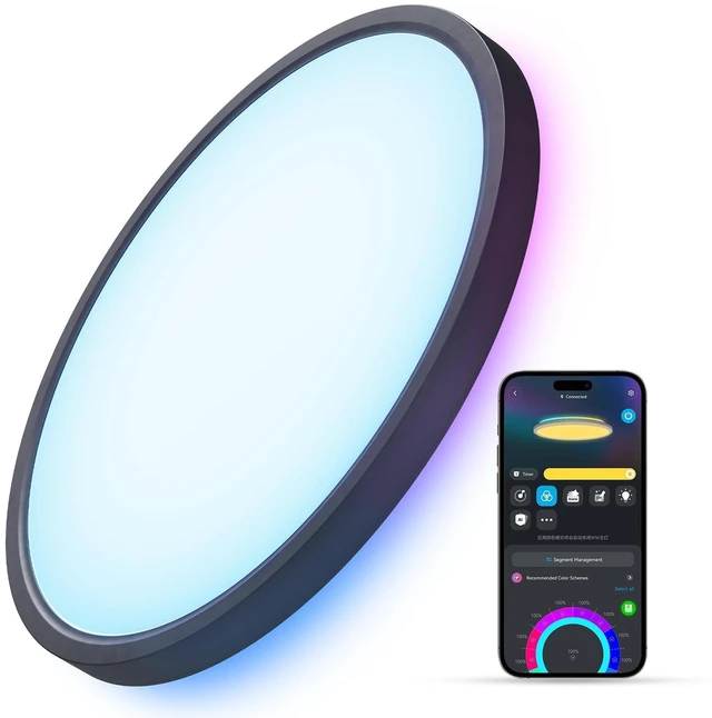 Main image of Govee Smart Ceiling Light, RGBIC 2400LM 2700K-6500K 12 Inch 1 Pack Black | RGBIC LED Flush Ceiling Light Fixture, 2400LM DIY Colors, Works with Matter Alexa for Bedroom, Living Room