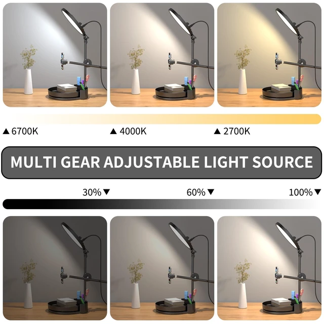 Alt view image 2 of 7 - Selfie Light Kit for Desk and Laptop,55W Dimmable Full Screen Ring Light,with Rotating Storage Box,Pen Holder Stand,Phone Holder and Controller (Ice Blue, 10.5)