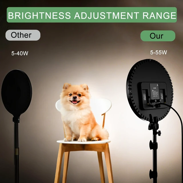 Alt view image 4 of 7 - Large Ring Light with 72" Tripod Stand, (Pink, 13)