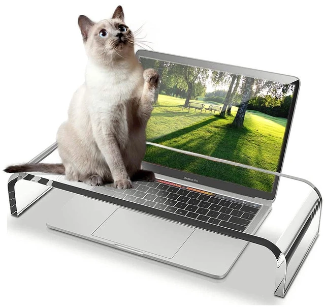 Main image of ZEAYIFA Clear Acrylic Monitor Stand,Keyboard Cover Protector Anti-Cat Prevent Cats from Touching Keyboard,Stand for Laptop, 1525-001