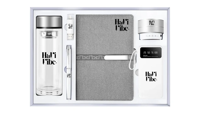 Main image of HaVi Vibe 6-in-1 Promotional Gift Set with Glass Water Bottle, Notebook, Power Bank, Wireless Speaker, Flash Drive, Great Gift for Co-Worders & Teachers, Grey