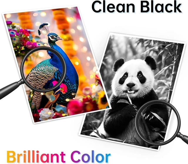 Alt view image 11 of 14 - 62XL Ink Cartridges Black and Color Replacement for Ink 62XL Ink Cartridges Combo Pack for Ink 62 Fit for Envy 7640 5660 7645 7644 5540 OfficeJet 5746 5740 8040 250 200 Printer Ink 62 XL(2 Pack)
