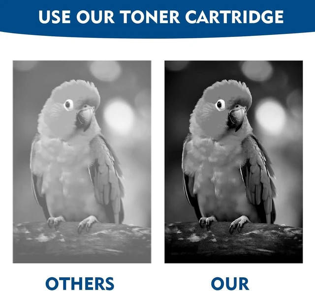 Alt view image 12 of 14 - 60F1000 Black Toner Cartridge(with chip) Replacement for Lexmark MX310,MX410,MX510,MX511,MX610,MX611 Series Printer,High Yield Ink Cartridge Compatible 60F1H00 60F1X00 Toner Cartridge (1 Pack)