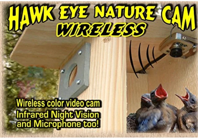 Alt view image 2 of 2 - Birdhouse Spy Cam BCAMHEW Hawk-Eye Wireless Spy Camera (Set of 1)
