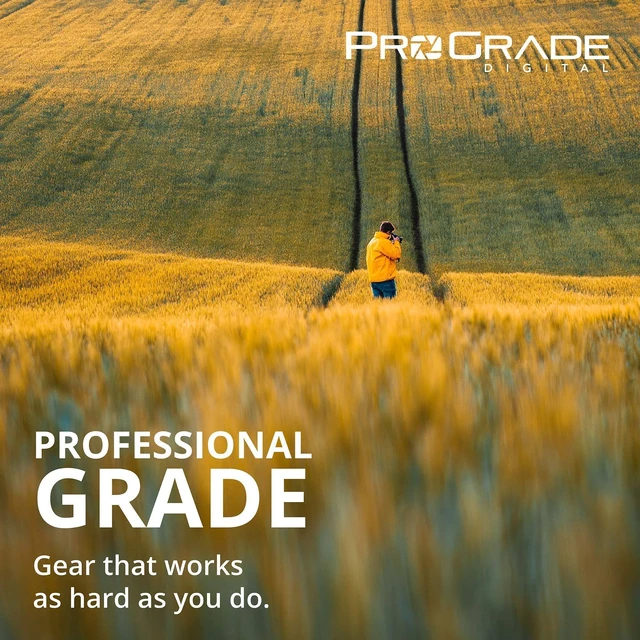 Alt view image 7 of 10 - SD UHS-II Dual-Slot Memory Card Reader by ProGrade Digital ^^ USB 3.2 Gen 2 for Professional Filmmakers, Photographers & Content Creators