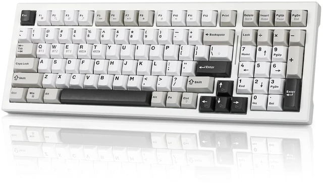 Main image of Gaozen Wireless Game Mechanical Keyboard BT5.0/2.4GHz/USB, Multi-Color LED with 18+ Modes, Hot-Swappable Custom Keyboard, Red Creamy Switches, Gaming Keyboard for PC/Mac (Black White)