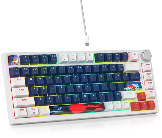 Main image of SbocKeeb 75 Percent Keyboard Gasket-Mounted with Sound Absorbing Pads, 82-Key Compact Wired RGB Mechanical Gaming Keyboard Hot-Swap Socket for Win, Blue Earth