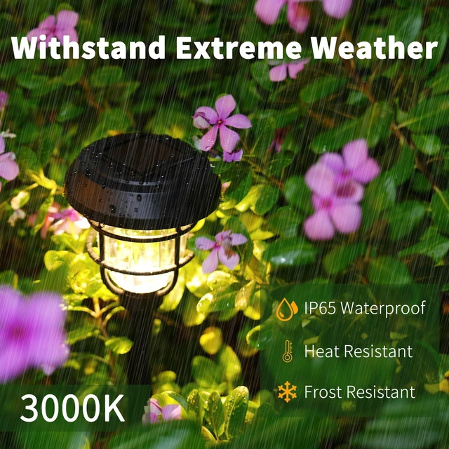 Alt view image 4 of 7 - Sorapwod Solar Pathway Lights Outdoor 8 Pack, Dusk to Dawn, IP65 Waterproof | Long-Lasting Battery (1000mAh), Bright LED, Stake Lights, Auto On Off, Up to 12H Lighting for Walkway, Yard & Garden Decor