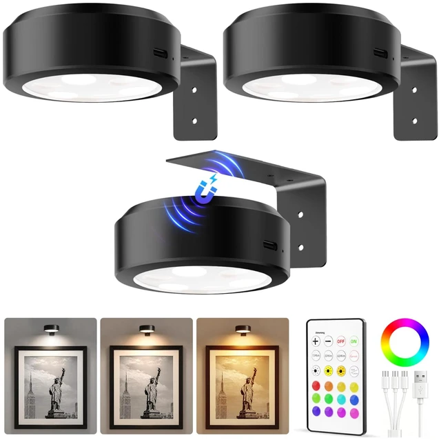 Main image of EZVALO Picture Lights for Wall, Magnetic Rechargeable Poster Lights, 3 Pack | 2000mAh, 3CCT & 12 RGB, Remote Dimming & Timer, Painting Light for Frames, Gallery Walls, Art Display & Living Room Decor
