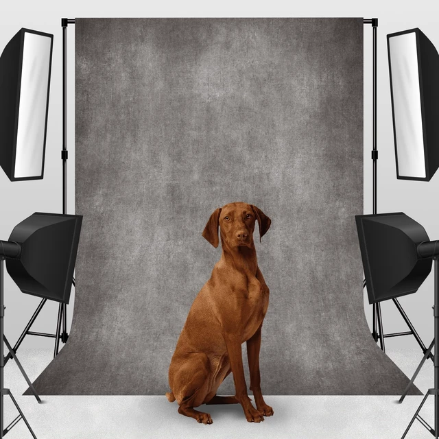 Alt view image 3 of 6 - Gray Photo Backdrop Studio Abstract Texture Photography Background 6x9ft | Creative Background Photography Studio Shooting Canvas Professional Portrait