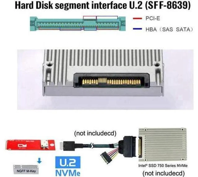 Alt view image 6 of 7 - AJMRTC PCIe 3.0 M.2 M-Key to OCuLink SFF-8611 SFF-8612 Adapter Cable, U.2 SFF-8639 High Speed NVMe SSD Interconnect Cable for Server Workstation Storage Expansion