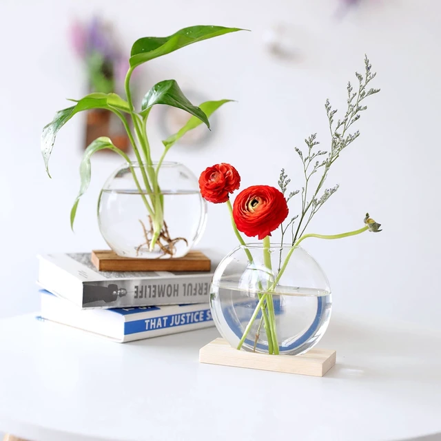 Alt view image 4 of 6 - Plant Propagation Station Vase: Set of 2 Cute Glass Terrarium Jars, Modern Hydroponic Planters for Indoor Plants, Desktop Propogation Stations Round Vases Plant Holder for Home Office Decor