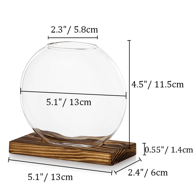 Alt view image 5 of 6 - Plant Propagation Station Vase: Set of 2 Cute Glass Terrarium Jars, Modern Hydroponic Planters for Indoor Plants, Desktop Propogation Stations Round Vases Plant Holder for Home Office Decor