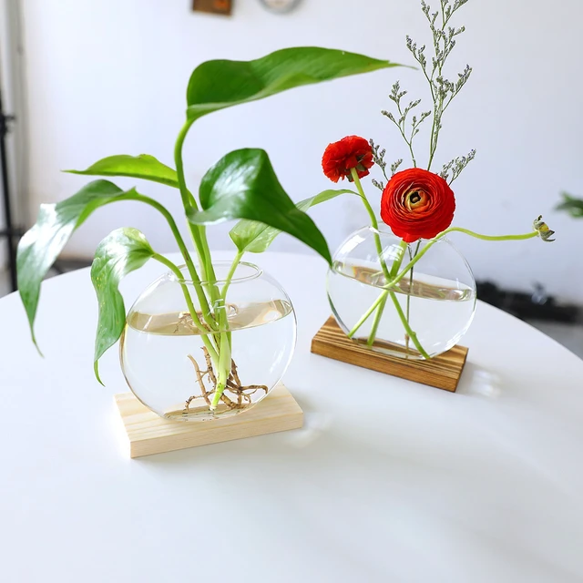 Alt view image 6 of 6 - Plant Propagation Station Vase: Set of 2 Cute Glass Terrarium Jars, Modern Hydroponic Planters for Indoor Plants, Desktop Propogation Stations Round Vases Plant Holder for Home Office Decor