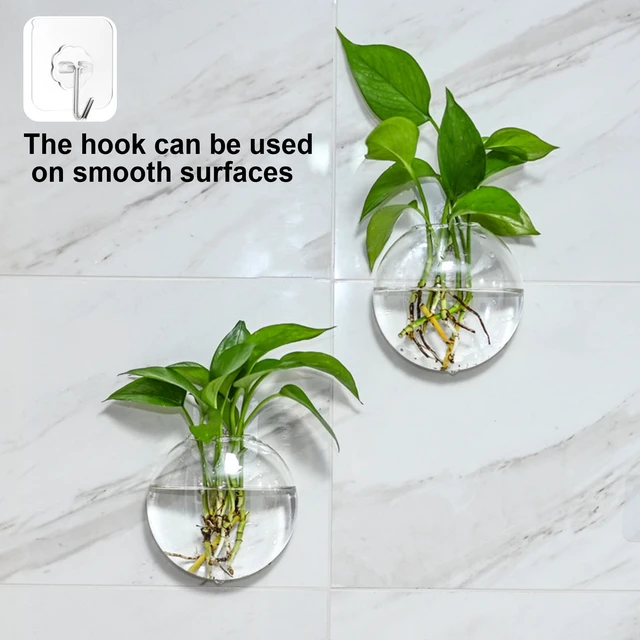 Alt view image 4 of 7 - Wall Vases Hanging Planter Propagation Station Clear Terrarium Wall Glass Vase for Flowers Hydroponics Plant Home Office Decor Present 2 Pcs