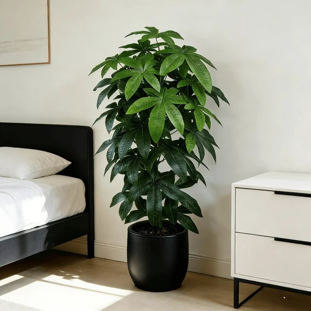 Alt view image 2 of 4 - An Artificial Money Tree Pachira Aquatica with Its Scientific Money Tree Peace Tree Features Green Branches and Vibrant Leaves