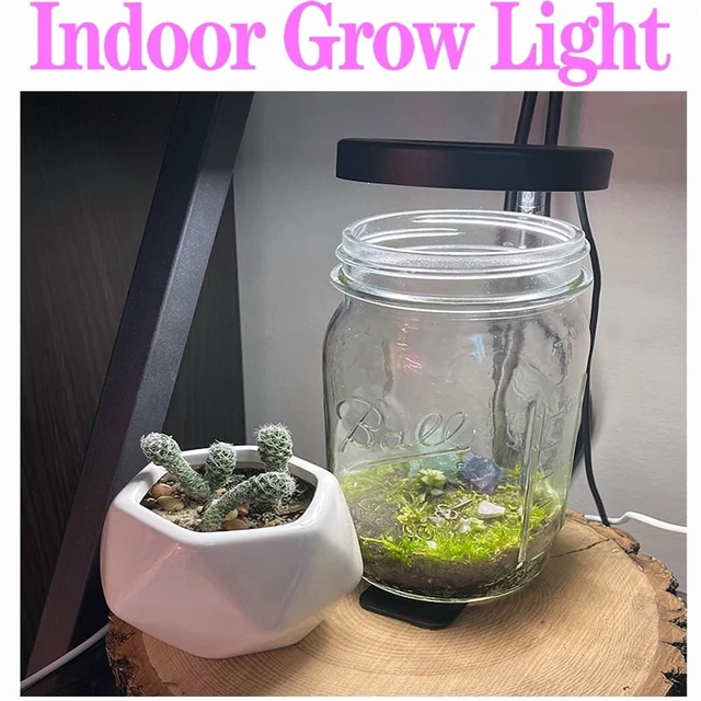 Alt view image 3 of 7 - Full Spectrum Plant Lamp USB Grow Light LED Growth Light Phyto Lamp Flower Seedling Hydroponic Lighting Grow Lamp Phyto Lamp