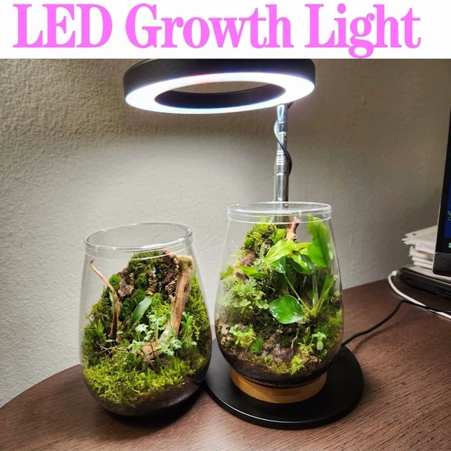 Alt view image 2 of 7 - Full Spectrum Plant Lamp USB Grow Light LED Growth Light Phyto Lamp Flower Seedling Hydroponic Lighting Grow Lamp Phyto Lamp