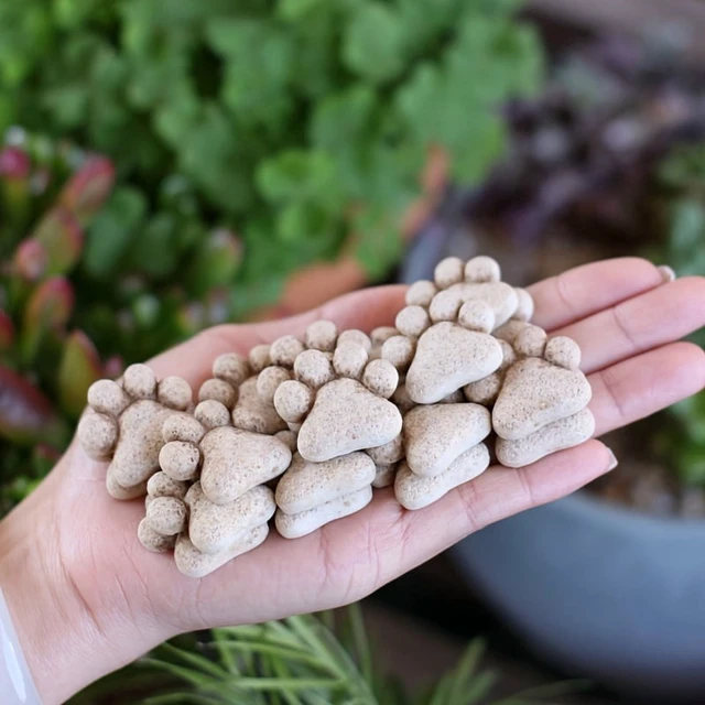 Alt view image 7 of 7 - 20Pcs Cat Paw Shaped Resin Garden Stepping Stones Outdoor Decorative Stones for Yard Bonsai Landscape Display