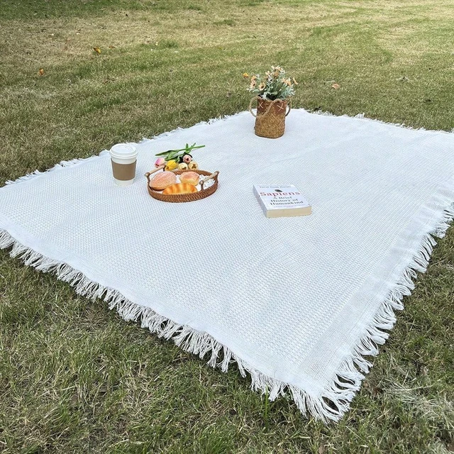 Main image of 1pc Ins style Picnic Blanket, Beach Blanket, Soft & Foldable Outdoor Mat - Essential for Spring and Summer Camping, Parties