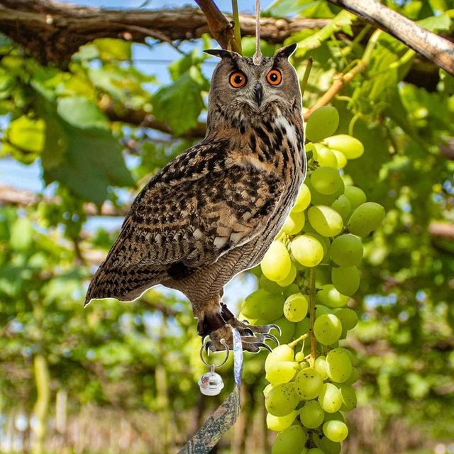 Alt view image 4 of 7 - Hanging Bird Repellent Owl Bell Pendant Pastoral Orchard Bird Scare Pendant Outdoor Courtyard Decoration Wind Chime