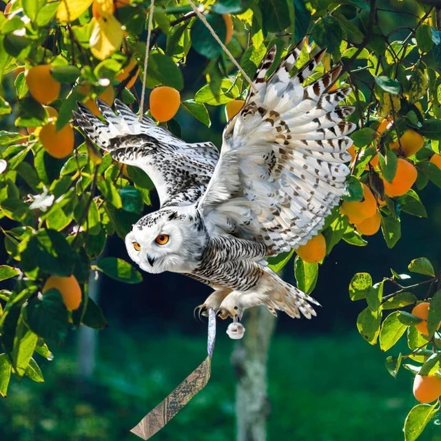 Alt view image 2 of 7 - Waterproof Bird Scarer Simulation Owl Bird Repellent Pest Control Artificial Scarecrow With Reflective