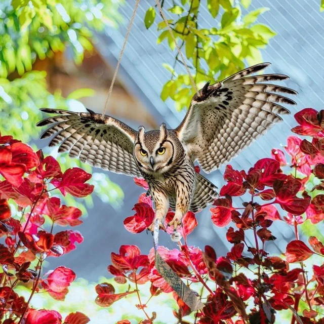 Alt view image 6 of 7 - Waterproof Bird Scarer Simulation Owl Bird Repellent Pest Control Artificial Scarecrow With Reflective