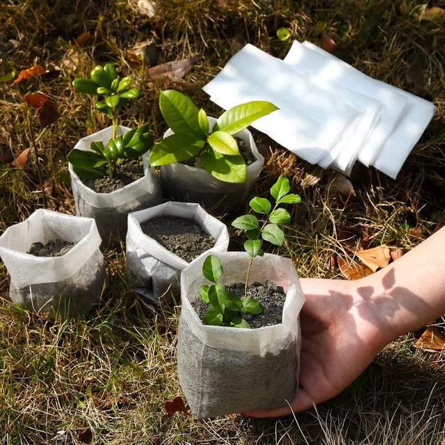 Alt view image 3 of 7 - 100/1000pcs Degradable Non-woven Plant Grow Bags Sapling Seed Nursery Bag Grow Pockets Planting Cultivation Pouches Garden Tools