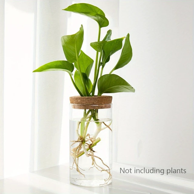 Main image of 1pc, Hydroponics Plants Desktop Glass Planter Vase For Home Decoration, Plant Propagation Station Bud Vase, Desktop Hydroponics
