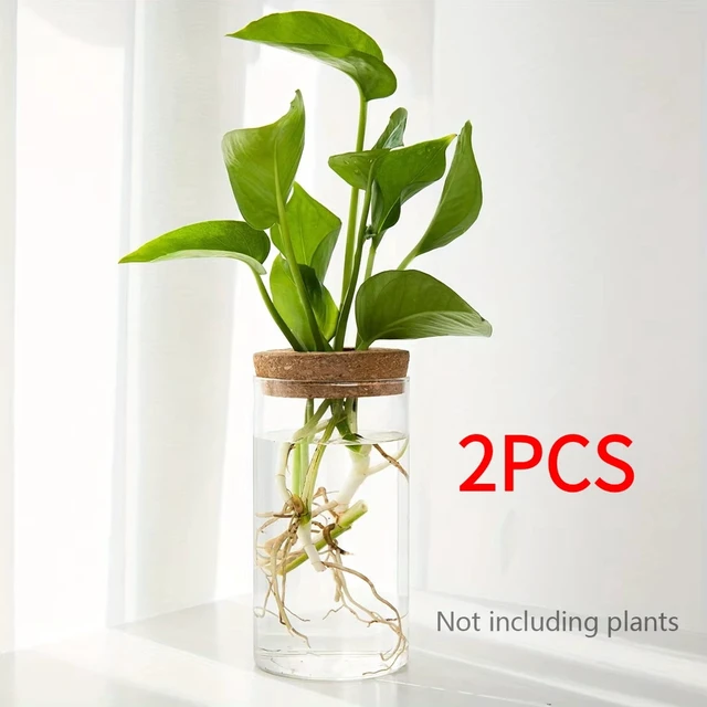 Alt view image 2 of 7 - 1pc, Hydroponics Plants Desktop Glass Planter Vase For Home Decoration, Plant Propagation Station Bud Vase, Desktop Hydroponics