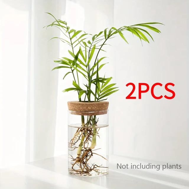 Alt view image 3 of 7 - 1pc, Hydroponics Plants Desktop Glass Planter Vase For Home Decoration, Plant Propagation Station Bud Vase, Desktop Hydroponics