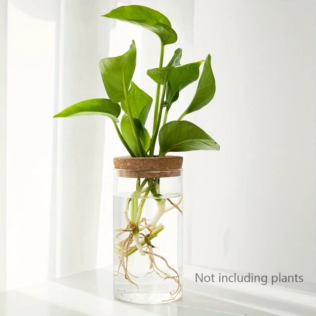 Alt view image 5 of 7 - 1pc, Hydroponics Plants Desktop Glass Planter Vase For Home Decoration, Plant Propagation Station Bud Vase, Desktop Hydroponics