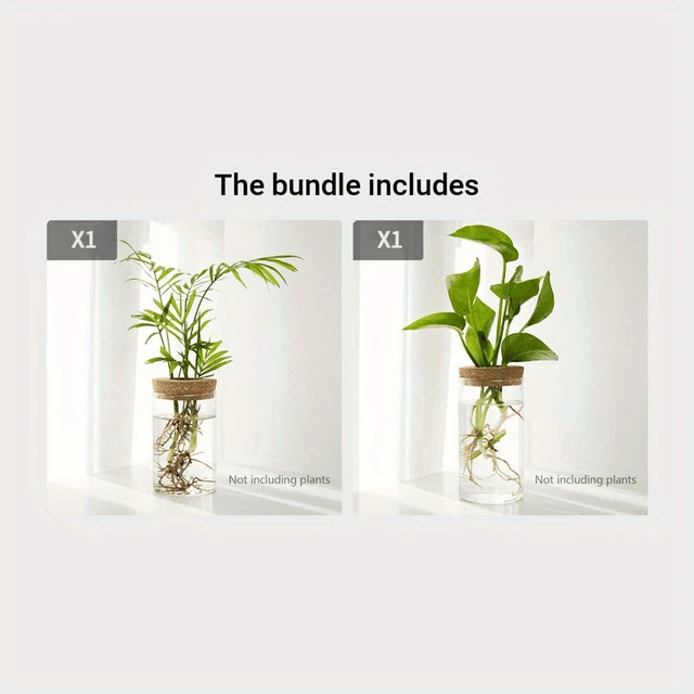 Alt view image 7 of 7 - 1pc, Hydroponics Plants Desktop Glass Planter Vase For Home Decoration, Plant Propagation Station Bud Vase, Desktop Hydroponics