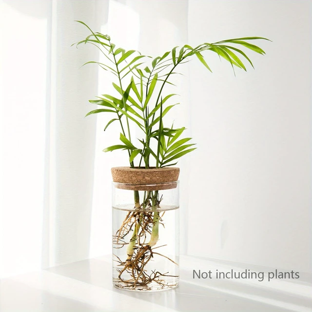 Alt view image 6 of 7 - 1pc, Hydroponics Plants Desktop Glass Planter Vase For Home Decoration, Plant Propagation Station Bud Vase, Desktop Hydroponics