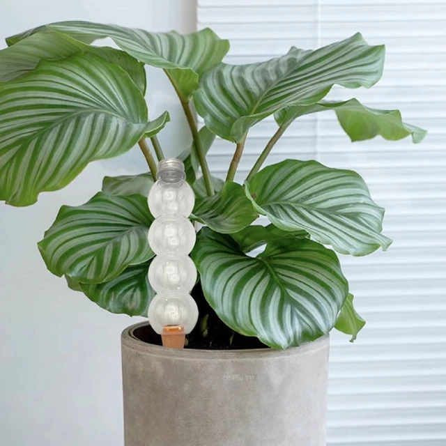 Alt view image 6 of 7 - 1Pcs Creative Automatic Water Device Plant Waterer Self Watering Home Garden Tools Gardening For Indoor And Outdoor Plants