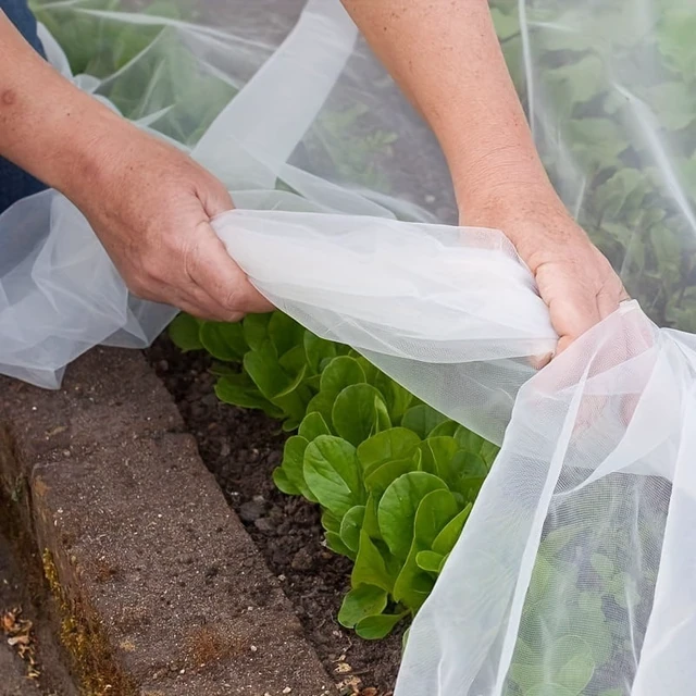 Main image of 1 pack, insect proof net HDPE 60 mesh transparent mesh barrier ultra-fine plant fruit tree net vegetable blueberry, row cover ne
