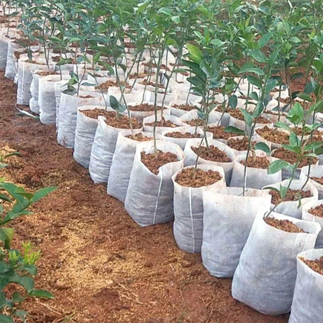Main image of 100pcs Nonwoven Fabric Nursery Plant Grow Bags Seedling Growing Planter Planting Pots Garden Eco-Friendly Ventilate Bags