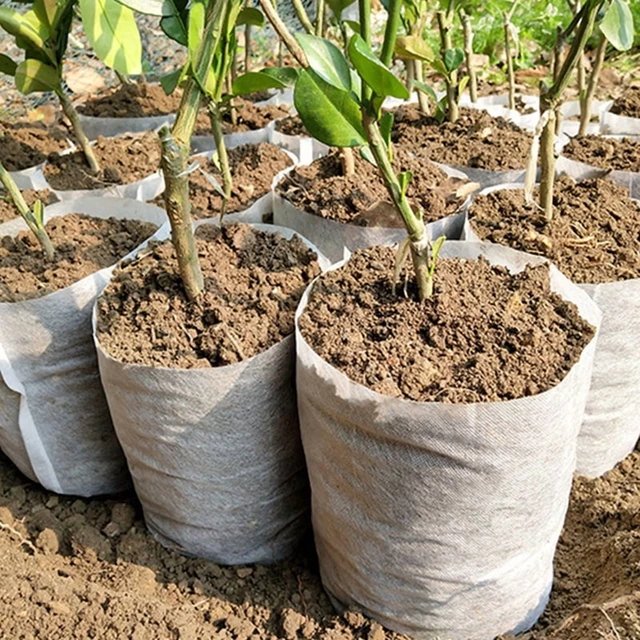 Alt view image 3 of 6 - 100pcs Nonwoven Fabric Nursery Plant Grow Bags Seedling Growing Planter Planting Pots Garden Eco-Friendly Ventilate Bags