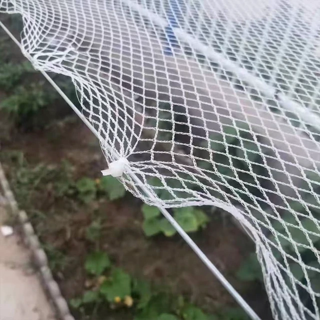 Alt view image 2 of 7 - 0.5mm Mesh Anti-Bird Net: Precision Protection for Grape Vines
