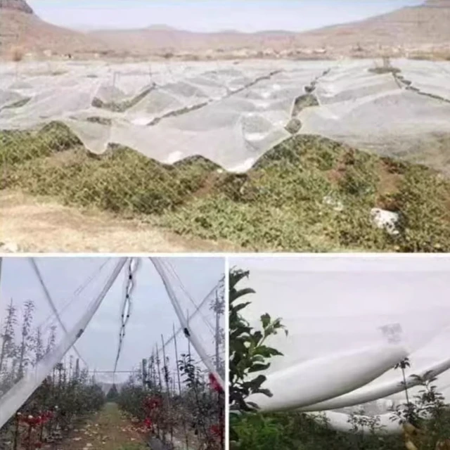 Alt view image 5 of 7 - 0.5mm Mesh Anti-Bird Net: Precision Protection for Grape Vines