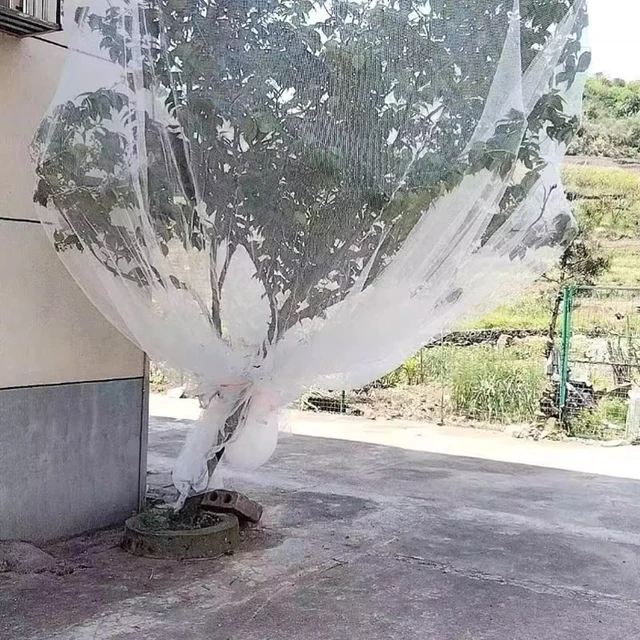 Alt view image 6 of 7 - 0.5mm Mesh Anti-Bird Net: Precision Protection for Grape Vines