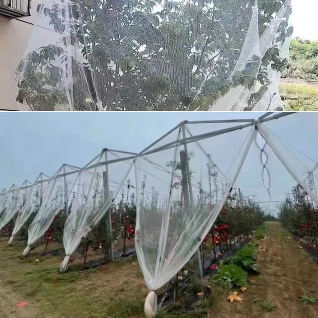 Alt view image 7 of 7 - 0.5mm Mesh Anti-Bird Net: Precision Protection for Grape Vines